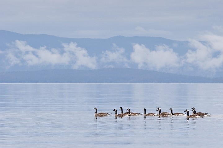 Landscape Landschaft Vancouver Island
